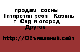 продам  сосны - Татарстан респ., Казань г. Сад и огород » Другое   